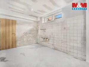 Prodej ubytování, Borušov - Svojanov, 1890 m2