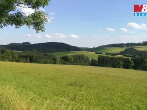 Prodej ubytování, Borušov - Svojanov, 1890 m2