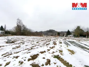 Prodej pozemku pro bydlení, Bělá nad Radbuzou, 2519 m2