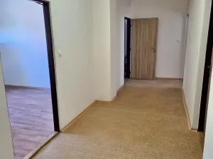 Prodej obchodního prostoru, Frýdek-Místek, Míru, 384 m2