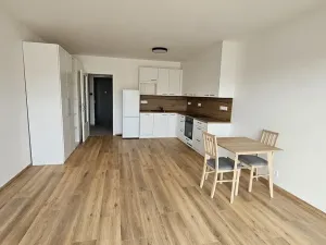Pronájem bytu 1+kk, Písek, Pražská, 38 m2