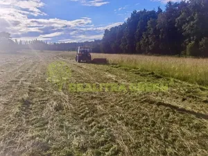 Prodej louky, Světlá nad Sázavou, 41681 m2