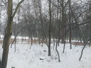 Prodej lesa, Pardubice, 1407 m2