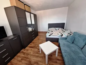 Pronájem bytu 1+1, Rokytnice v Orlických horách, U Nádraží, 39 m2