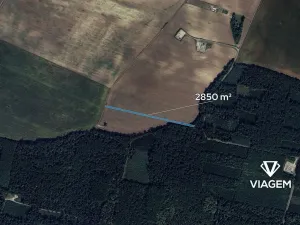 Prodej podílu pole, Mutěnice, 1425 m2