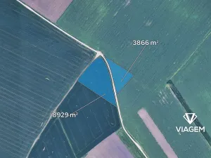 Prodej podílu pole, Velké Němčice, 2132 m2