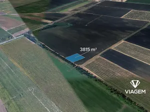 Prodej pole, Podivín, 3815 m2