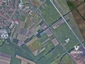 Prodej pole, Podivín, 4035 m2