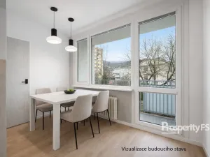 Prodej bytu 2+1, Ústí nad Labem - Střekov, Kamenná, 50 m2