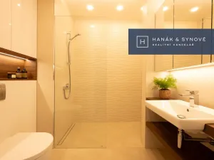 Pronájem bytu 1+kk, Brno, Koliště, 22 m2