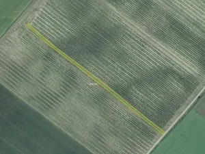 Prodej sadu/vinice, Terezín, 5465 m2