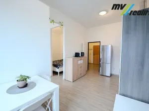 Prodej bytu 1+1, Milovice, Topolová, 44 m2