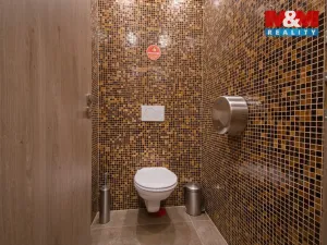 Pronájem obchodního prostoru, Rožnov pod Radhoštěm, Meziříčská, 180 m2