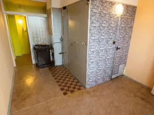 Prodej bytu 1+1, Olomouc - Nová Ulice, Pionýrská, 45 m2