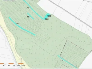 Prodej lesa, Dolní Vilémovice, 9629 m2