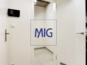 Pronájem bytu 2+kk, Brno, Cejl, 35 m2