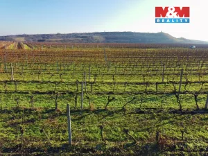 Prodej pole, Velké Bílovice, 7286 m2