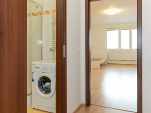 Pronájem bytu 1+kk, Praha - Vysočany, Freyova, 33 m2