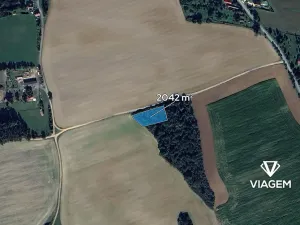 Prodej lesa, Lisov, 2042 m2