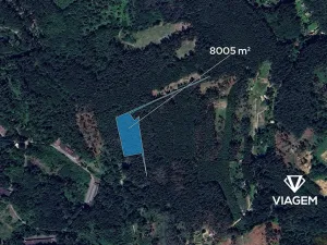 Prodej podílu lesa, Psáry, 2001 m2