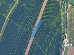 Prodej podílu pole, Syrovice, 1508 m2