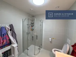 Pronájem bytu 1+kk, Brno, Provazníkova, 48 m2