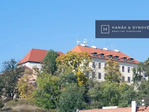 Pronájem bytu 2+1, Brno, Anenská, 50 m2