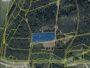 Prodej lesa, Veliny, 4431 m2