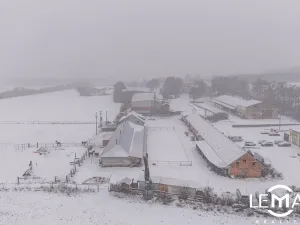 Prodej zemědělské usedlosti, Rosice, 398 m2