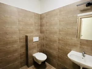 Pronájem skladu, Olomouc, Uhelná, 80 m2