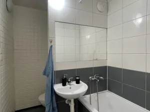 Pronájem bytu 1+kk, Orlová - Lutyně, F. S. Tůmy, 35 m2