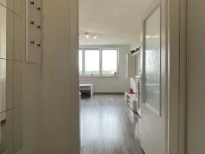 Pronájem bytu 1+kk, Orlová - Lutyně, F. S. Tůmy, 35 m2