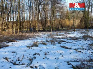 Prodej zahrady, Kořenice - Chotouchov, 1304 m2