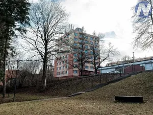 Pronájem bytu 3+1, Prachatice, SNP, 67 m2