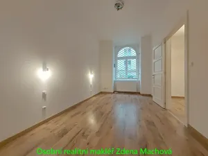 Pronájem bytu 2+kk, Praha - Vinohrady, Lublaňská, 56 m2