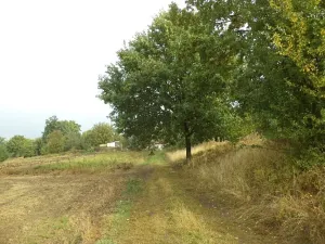 Dražba louky, Horní Pěna, 1083 m2