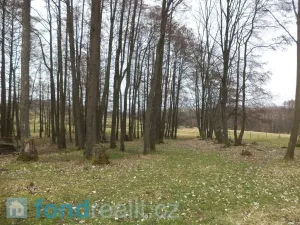 Prodej pozemku, Dolní Nivy, 3865 m2