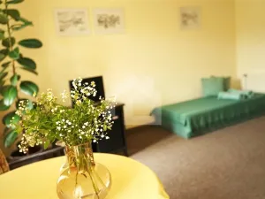 Prodej ubytování, Jindřichův Hradec - Jindřichův Hradec I, 600 m2