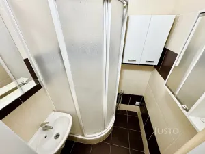 Pronájem bytu 2+1, Ústí nad Labem, Kozinova, 55 m2