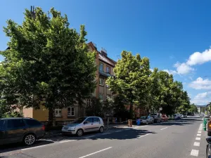 Prodej bytu 3+1, Liberec - Liberec V-Kristiánov, Husova, 90 m2