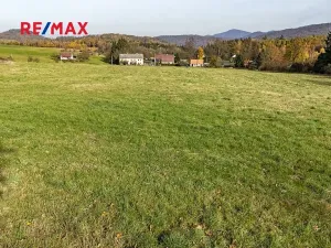 Prodej pozemku pro bydlení, Velká Bukovina, 2341 m2
