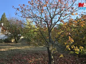Pronájem zahrady, Ústí nad Labem - Střekov, 979 m2