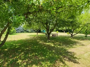 Prodej rodinného domu, Nepomuk, U Rybníka, 55 m2