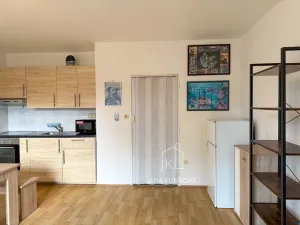Pronájem bytu 1+kk, Vacenovice, Na Dědině, 31 m2