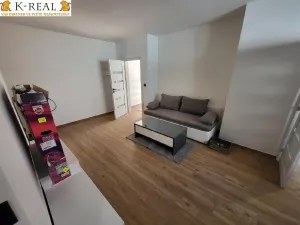 Pronájem bytu 1+kk, Čistá, 50 m2