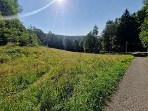 Prodej rodinného domu, Dolní Dvůr, 205 m2