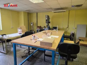 Prodej výrobních prostor, Roudnice nad Labem, Pracnerova, 2250 m2