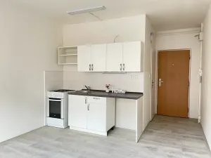 Pronájem bytu 1+1, Litvínov, Rooseveltova, 37 m2
