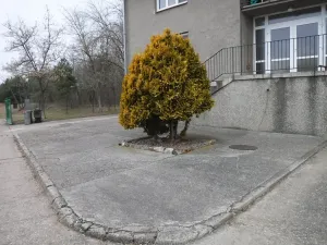 Prodej vícegeneračního domu, Veletov, 822 m2