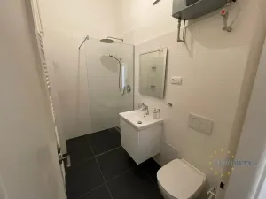 Pronájem bytu 2+kk, Praha - Nové Město, Krakovská, 47 m2